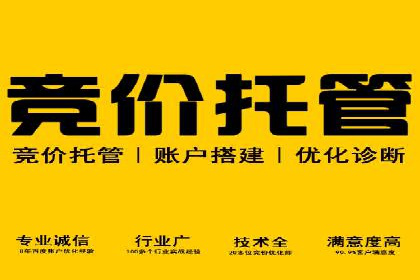关键词竞价排名实战案例深度解析